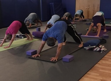 Palm Yoga  in Tampa