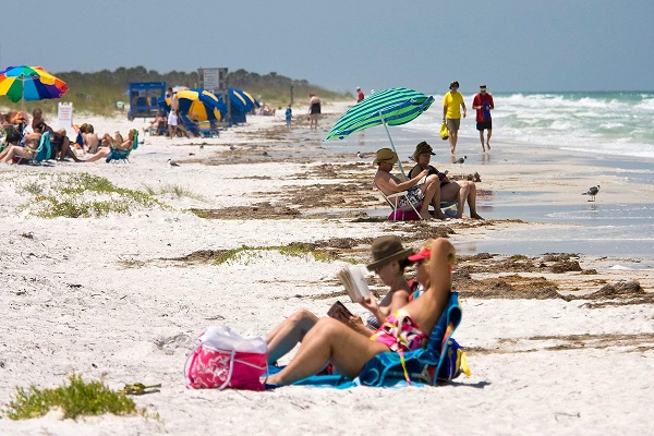 Caladesi Island State Park in Tampa